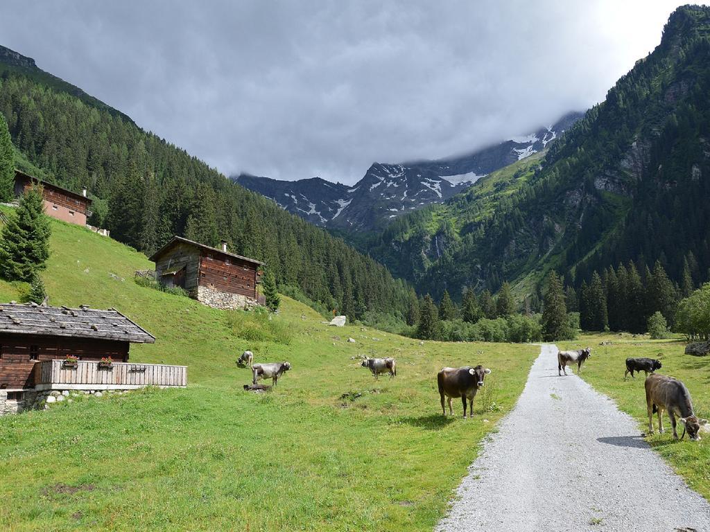 Landhaus Appartement Kofler Ferienwohnungen,Zimmer Maurach  Bagian luar foto